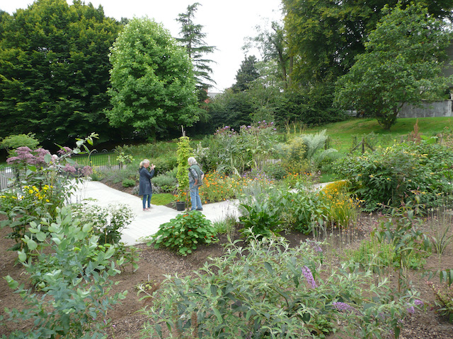 Global medicine garden, Belfast Botanic Gardens 