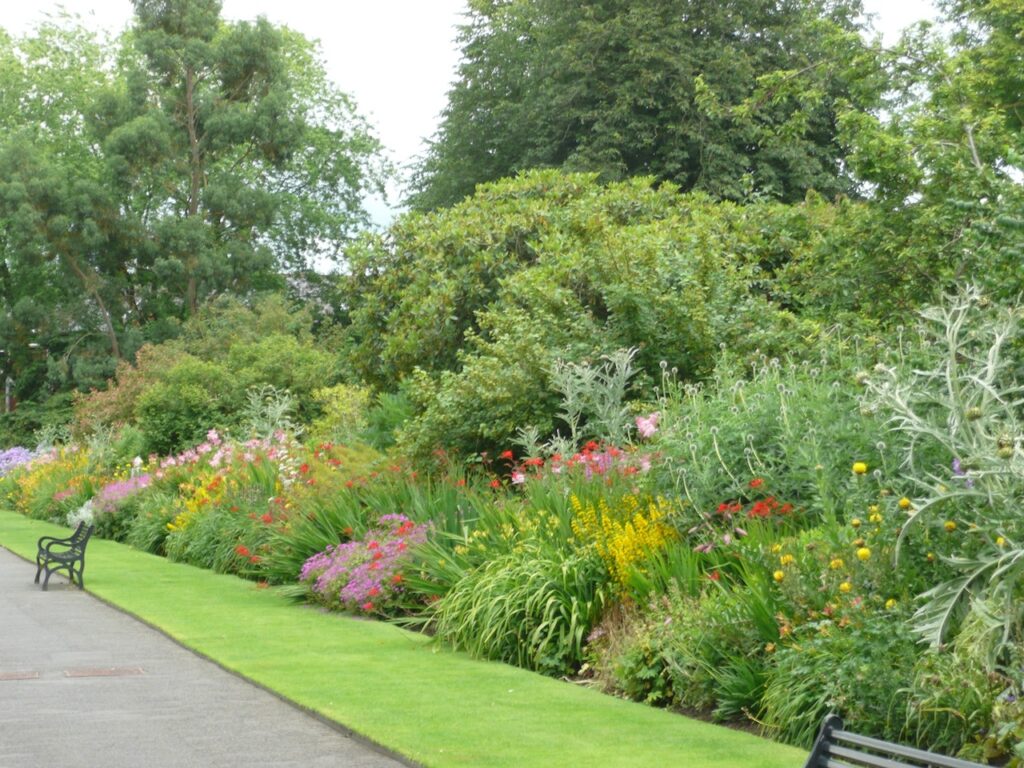 Herbaceous border Belfast Botanic Gardens
