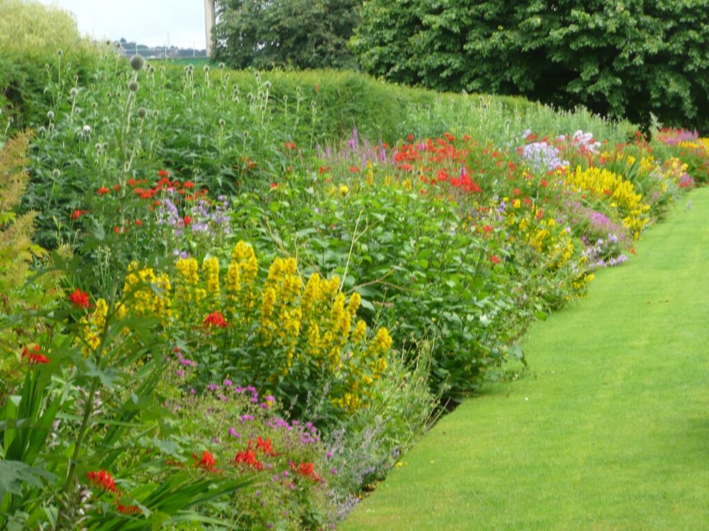 Herbaceous border Belfast Botanic Gardens