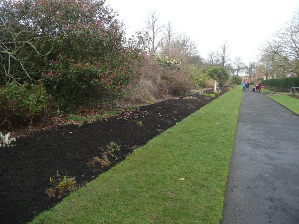 Herbaceous border cleared