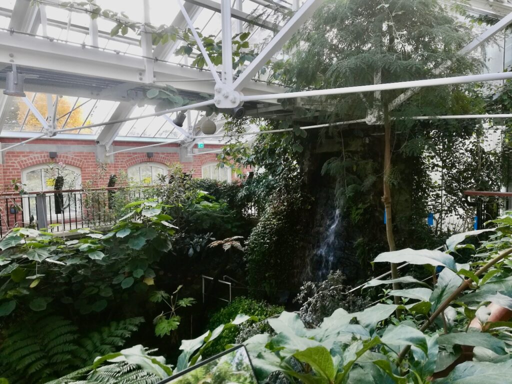 Tropical Ravine in 2024