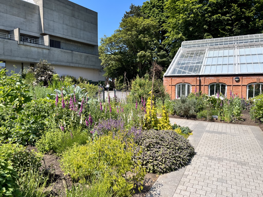 Belfast Botanic Gardens Global Medicine Garden